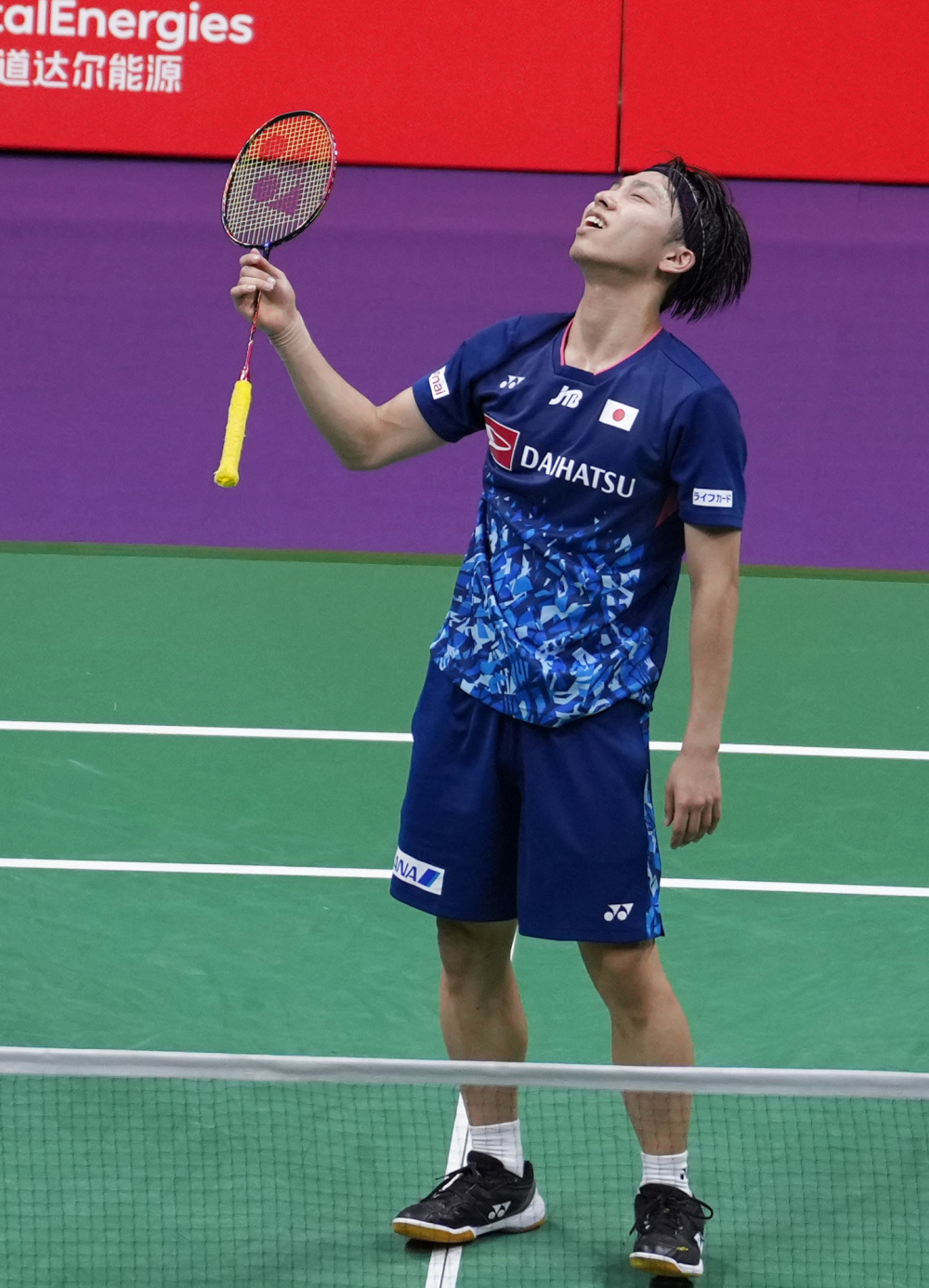 远高于其他 远高于其他