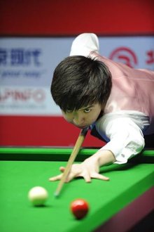 张伟丽连续 张伟丽连续